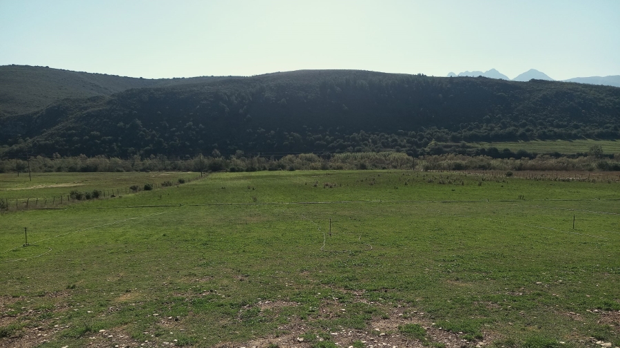 Commercial Property for Sale in George Rural Western Cape